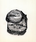 Trash 6