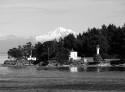 Mount Vernon Wa.