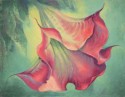 Angel Trumpet