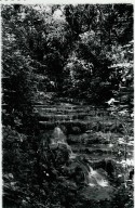 Falls