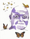 Le roi des papillons