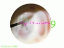 my planets 9