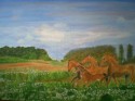 horses by the meadow