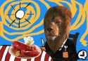 Lion eating lobster