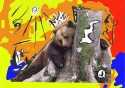 Smoking bear