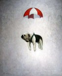 Portrait of a Parachuting Bulldog