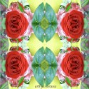roses4afriend