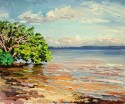 Matheson Hammock, Mangrove Beach