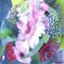 multiflowersphere