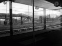 Track yard