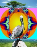 Pelican fractal