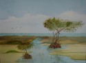 Florida Everglades