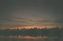 New Sunrise