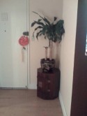 VALs place