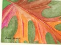 Falling Leaf