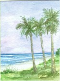 Tropical Shade