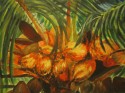 The Coconuts