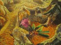 A Flower On The Rocks