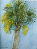 Blooming Palm