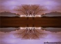underthedreamdreamtree