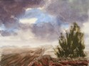 on the fields, landscape 606