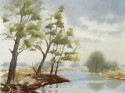 Trees in summer, landscape no. 631