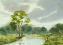 River Landscape no. 696