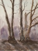 Foggy trees, landscape no. 603