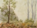 Foggy Wood, landscape no. 605