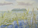 Pond with water lilies, landscape no. 617