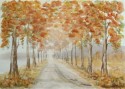 autumn allee, landscape no. 620