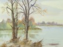 river landscape no. 624
