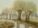 riverscape with willow trees no. 634