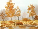 autumn trees no. 637