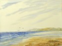 seashore no. 646