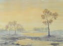 hot summer landscape 647