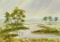 riverscape 689