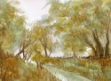 wild riverscape 690