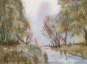 wild riverscape 691