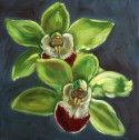 Two orchids