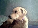 Little Amy