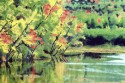Image on the Lake