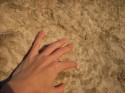 Touch Stone