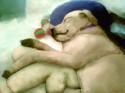 Amy as a puppy