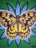 Butterfly #3  Yellow on black