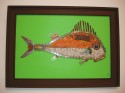 Chain Fish